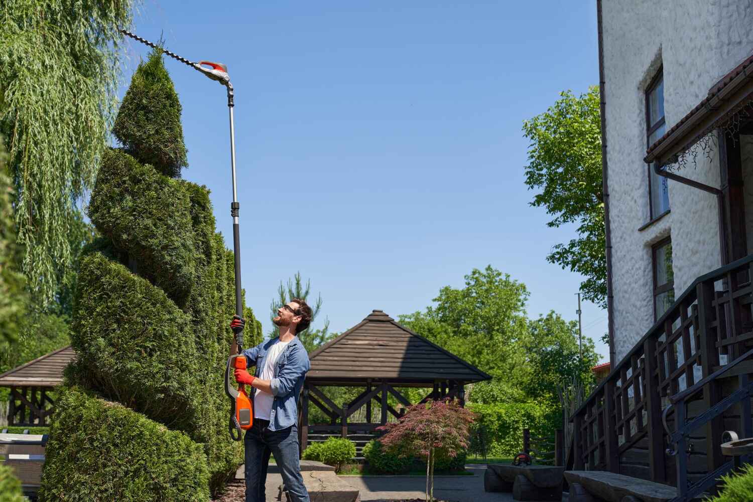 Best Commercial Tree Services  in Tinton Falls, NJ